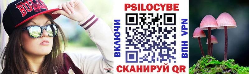 где найти наркотики  Тюкалинск  Псилоцибиновые грибы Magic Shrooms 